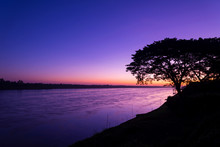 Beautiful Sunrise Out With Silhouetted Of Tree At Mekong River,