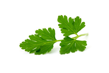 Wall Mural - parsley isolated on white