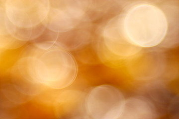 Wall Mural - golden orange autumn background blur bokeh, defocusing lens
