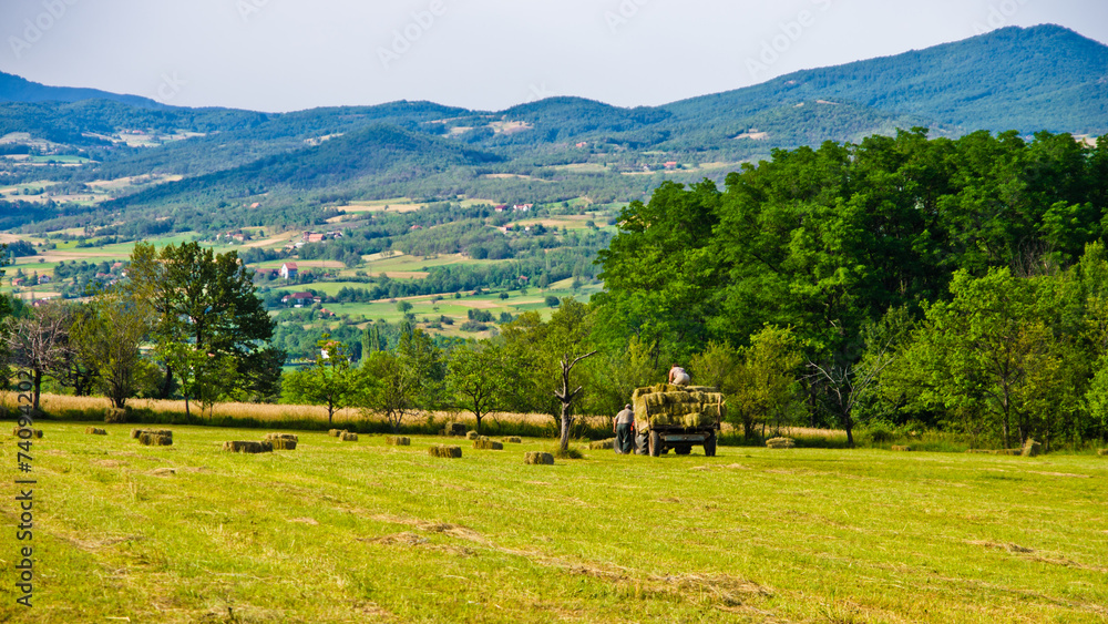 Agricultural fields and landscape near Zlot mountain - obrazy, fototapety, plakaty 