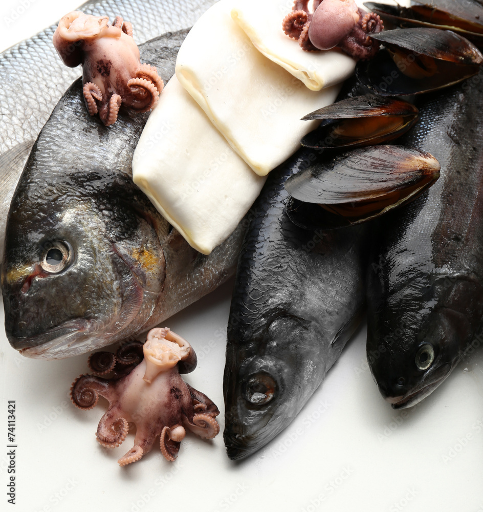 Fresh catch of fish and other seafood close-up
