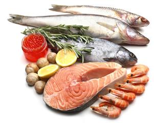 Wall Mural - Fresh catch of fish and other seafood isolated on white