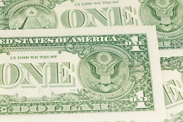 Wall Mural - Close-up of one dollar on background