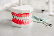 Artificial jaw in the dental office