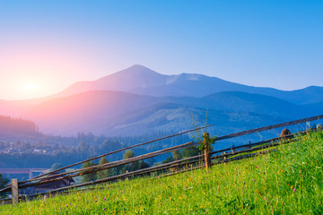 Wall Mural - Colorful summer landscape