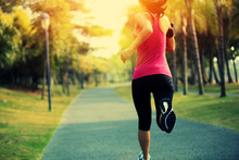Woman Runner Running At Tropical Park