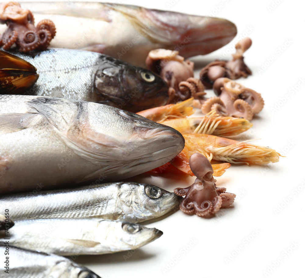 Fresh catch of fish and other seafood isolated on white