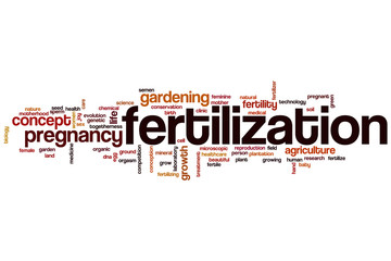 Wall Mural - Fertilization word cloud