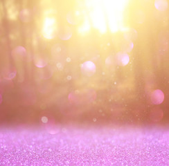 abstract photo of light burst among trees and glitter bokeh ligh