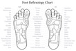 Foot Reflexology Chart Outline