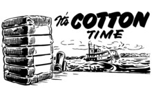 It's Cotton Time