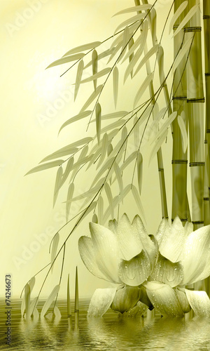 Dekoracja na wymiar  lilia-wodna-z-bambusem-w-stawie