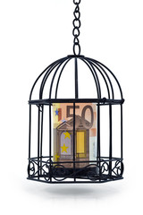 Wall Mural - EURO UNDER RESTRICTIONS 2-A 50 euro note got kept in a cage.