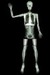 © stockdevil - Good Bye (Human bone wave the hand) (Whole body)