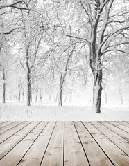 Canvas Print - Winter