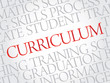 © dizain - CURRICULUM. Word education collage on gray vector background