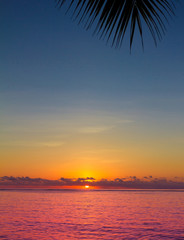 Wall Mural - Evening Exotic Sea