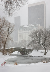 Wall Mural - Snowfall on Central Park's Gapstow Bridge and the Pond