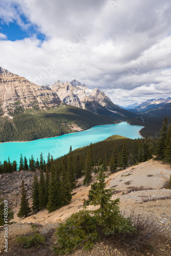 Plakat na papierze fotorealistycznym Peyto jezioro, alberta, kanada