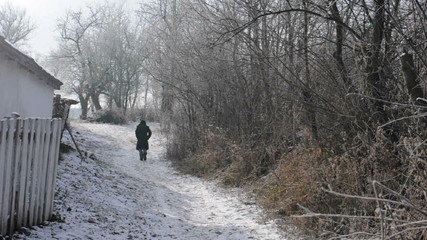 Wall Mural - Man walking away on a frozen road
