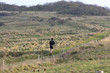 © Image'in - courir