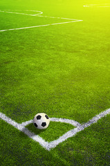 Soccer grass field with marking and ball, Sport