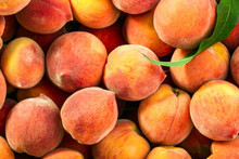 Fresh Ripe Peaches