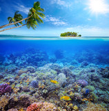 Fototapeta Do akwarium - Coral reef with fish on background of small island. Maldives