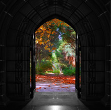 Old Arched Church Doors Opening Onto Colorful Forest