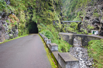 Wall Mural - The old road ER101, north coast of Madeira (Portugal)