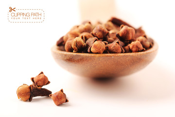 cloves with clipping path - 2