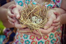 People Of Two Generations Holding Nest In Palms