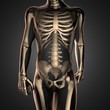 © videodoctor - human radiography scan  with bones