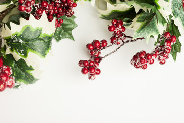 Poster - european holly on white background