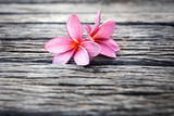 Fototapeta Storczyk - Flower on wood
