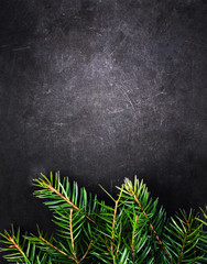 Wall Mural - Christmas Background with  Fir Tree on Vintage Black board with