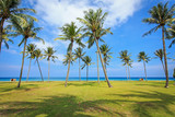 Fototapeta Do akwarium - Coconut tree infront the sea