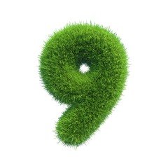 Wall Mural - Number symbol of green fresh grass isolated on a white