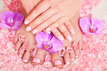 Beautiful pink manicure pedicure. Well-groomed female hands spa