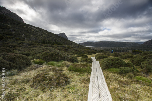 Fotografia, Obraz Walking path in wild land in national park in Tasmania