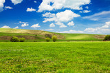 Fototapeta Sawanna - green field and blue sky