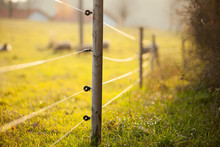 Electric Fencing Around A Pasture With Farm Animals