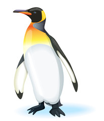 Vector illustration of Penguin