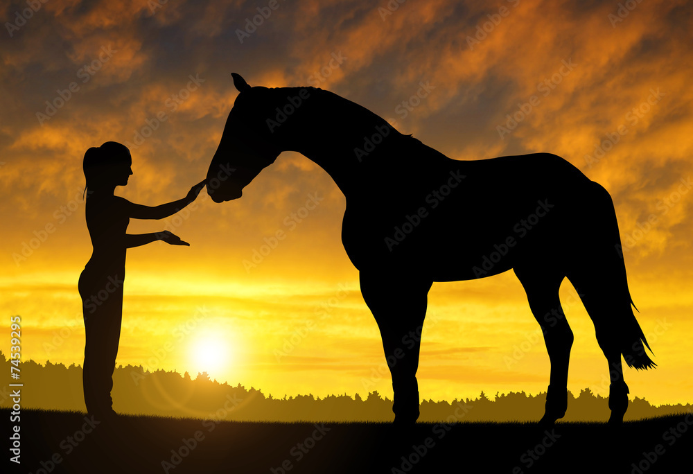 Girl with a horse at sunset - obrazy, fototapety, plakaty 