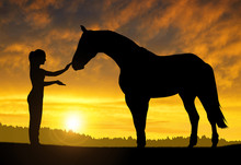 Girl With A Horse At Sunset