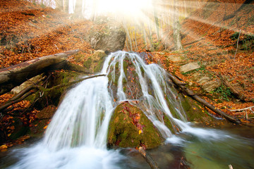 Wall Mural - waterfall in auumn forest