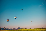 Fototapeta Tęcza - Hot air balloon flying over yellow flowers fields on blue sky  b