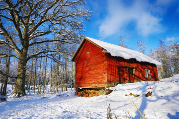 Wall Mural - old farm and barn in a snowy winter landscape