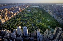 Central Park Aerial View, Manhattan, New York; Park Is Surrounde