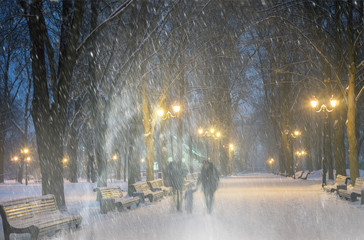 Storm in Mariinsky Park